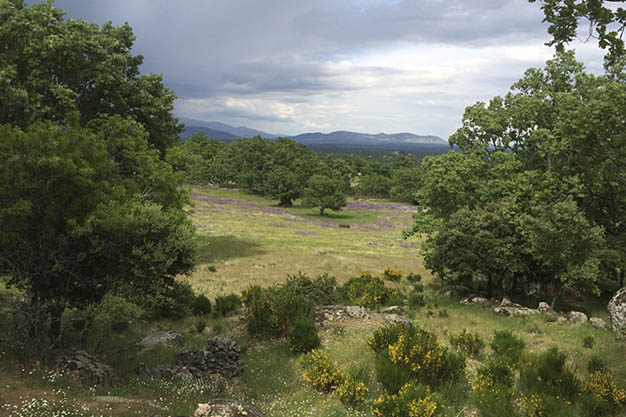 Camino-a-Zarzalejo