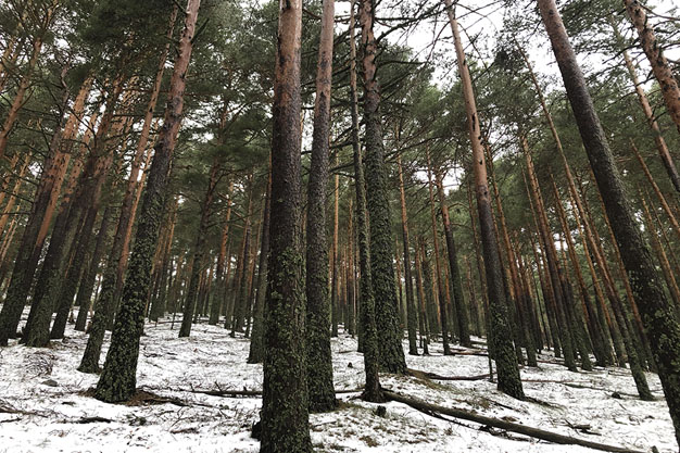 Cercedilla-2
