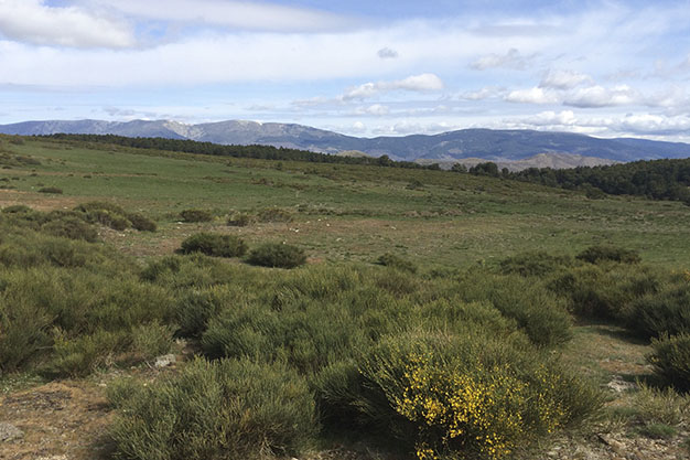 Cercedilla