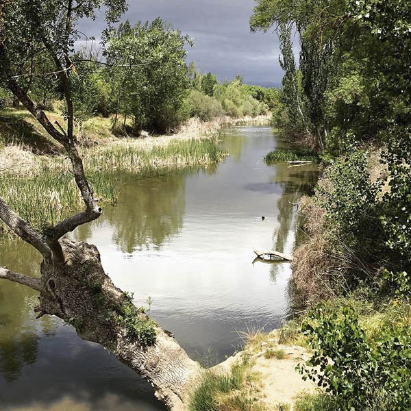 El-Pardo