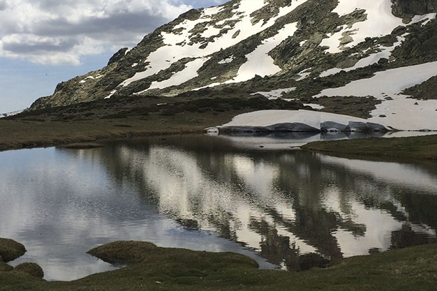 Laguna-1