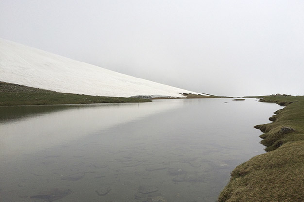 Laguna-de-los-Pajaros