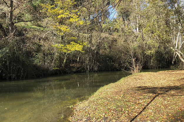 Orilla-del-Manzanares