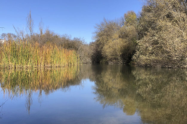 Paseo-junto-al-rio