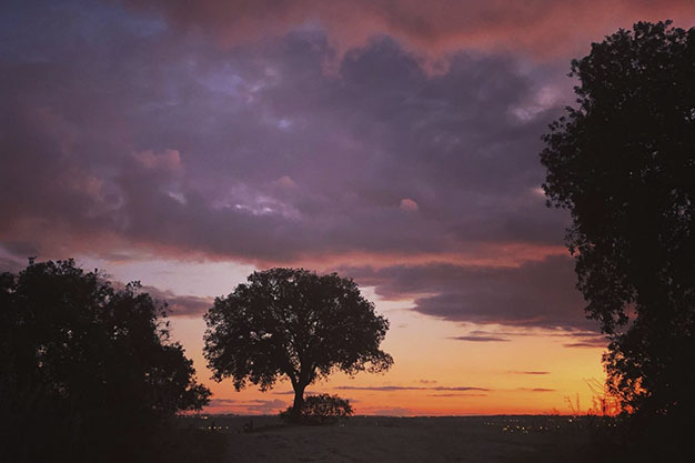 Puesta-de-Sol-en-el-Pardo
