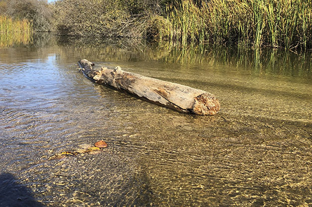 Rio-Manzanares