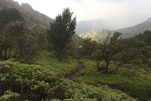 Senda-Pedriza