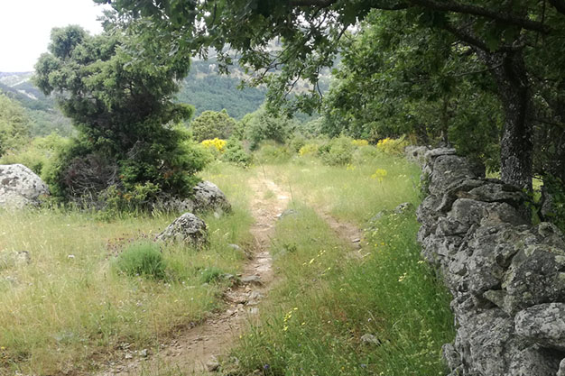 Sendero-Soto