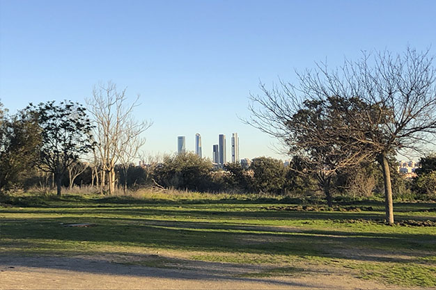 Torres-desde-el-mirador
