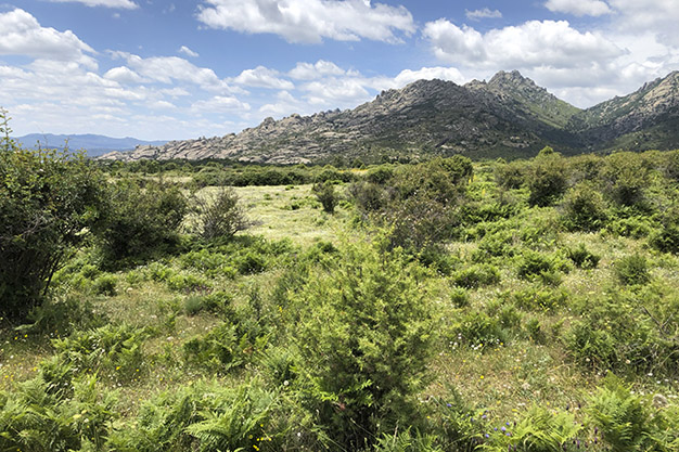 Vertiente-hacia-la-Pedriza