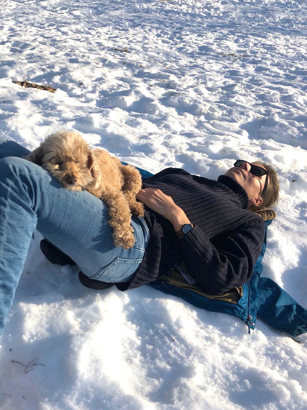 Caniche enano durmiendo Caniche enano descansando sobre su dueña en la nieve