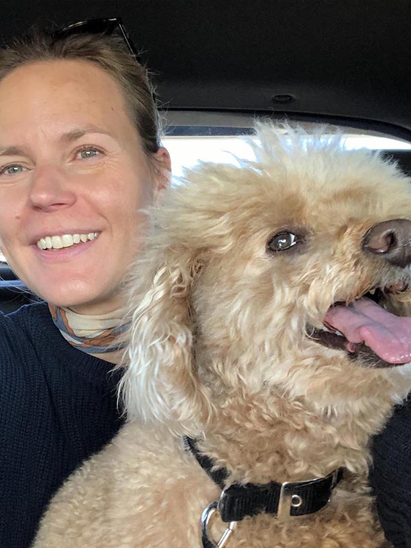 perro caniche enano sonriente en el coche perro caniche enano posando con su dueña para la foto que se hacen en el coche