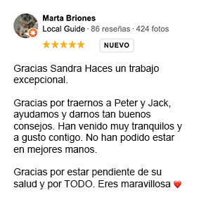 reseña_movil-7